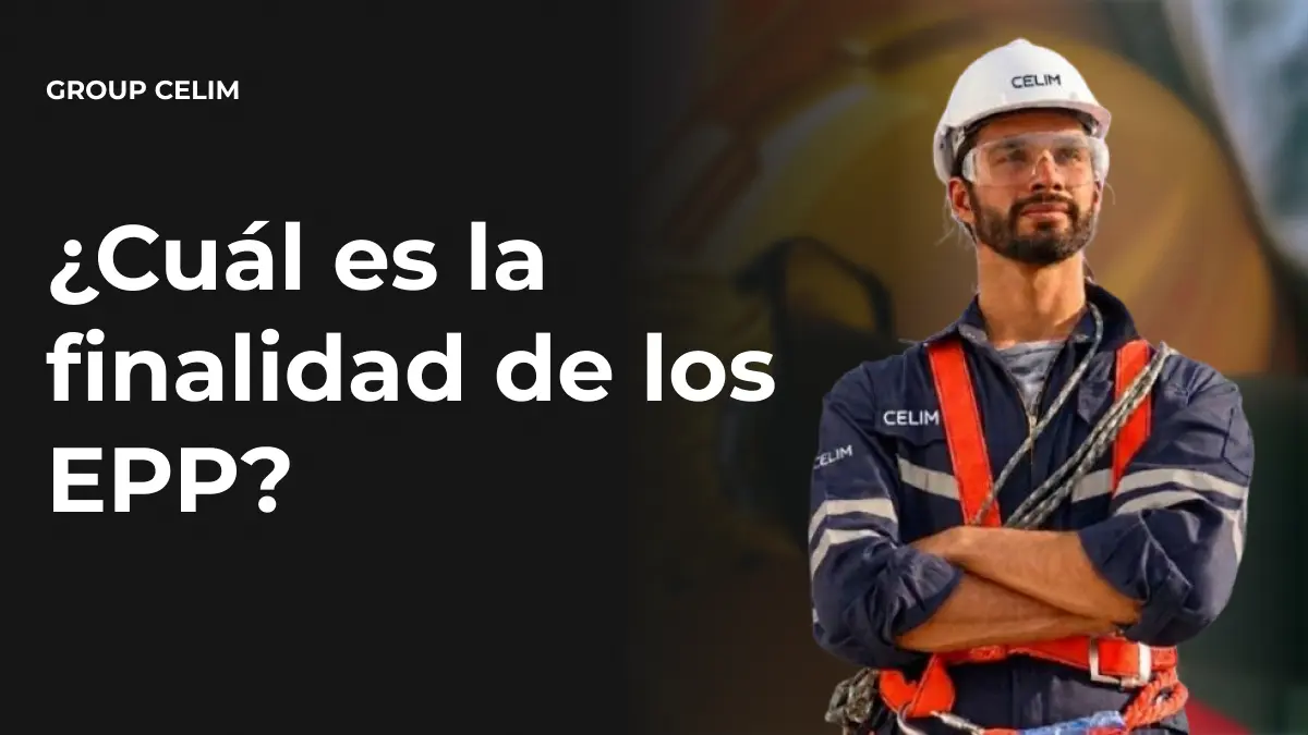 Cuál es la finalidad de los EPP